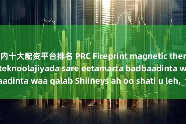 国内十大配资平台排名 PRC Fireprint magnetic thermal decomposition teknoolajiyada sare eetamarta badbaadinta waa qalab Shiineys ah oo shati u leh,_fogaan_ka_iyo