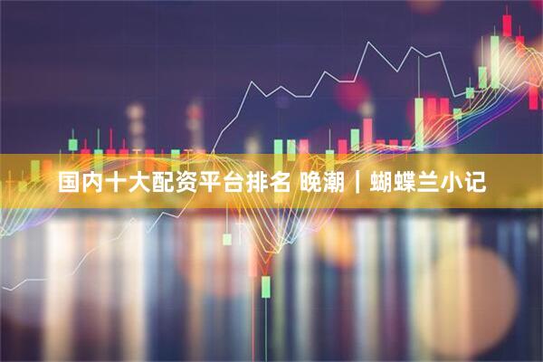 国内十大配资平台排名 晚潮｜蝴蝶兰小记